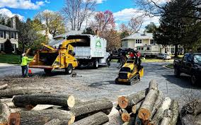 Best Seasonal Cleanup (Spring/Fall)  in Chenango Bridge, NY