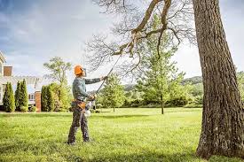 How Our Tree Care Process Works  in  Chenango Bridge, NY