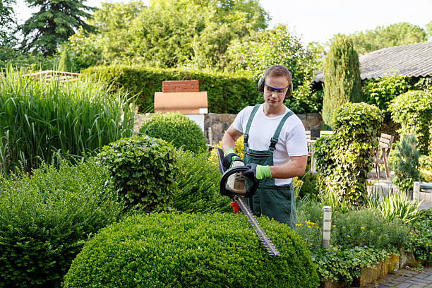 Best Lawn Pest Prevention  in Chenango Bridge, NY